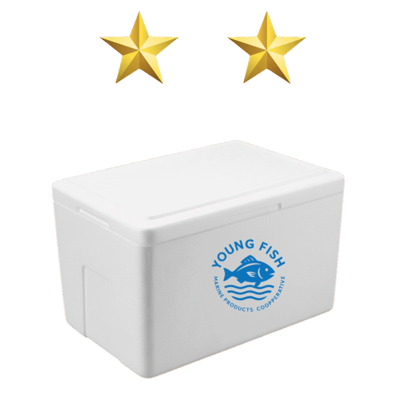 الصندوق المتمييز