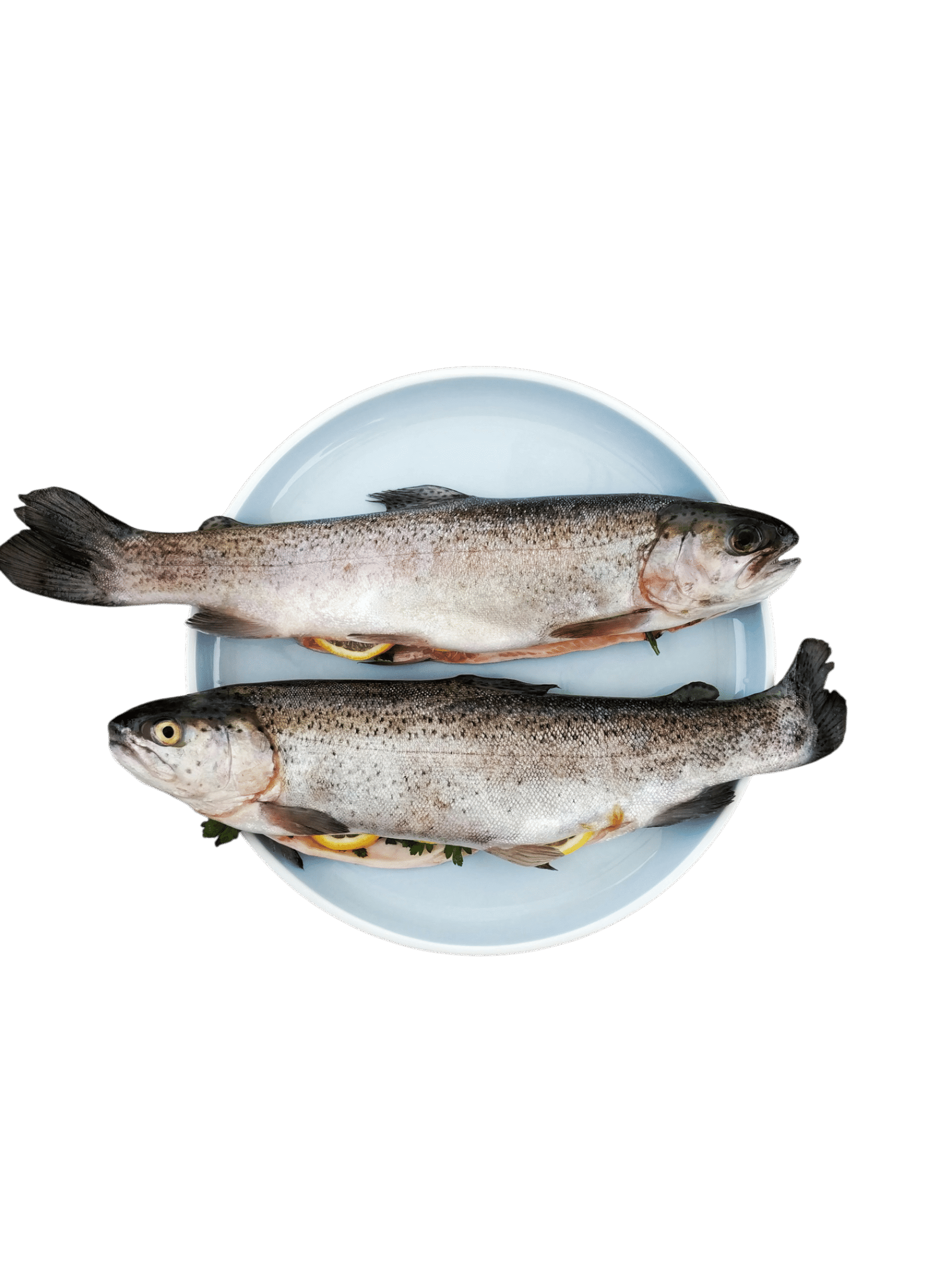 gregor-moser-QGIJUqnEpCY-unsplash
