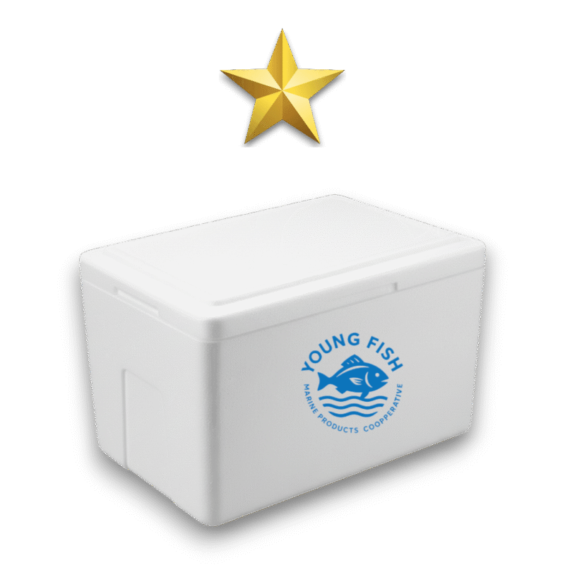 الصندوق الإقتصادي